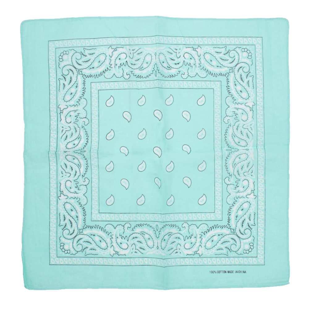 Zac's Alter Ego - Mint Green Paisley print Bandana - Vert